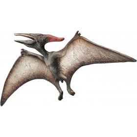 Pteranodon Museum Line -...