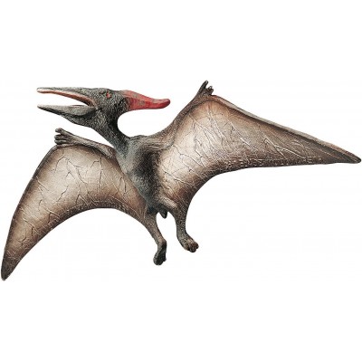 Pteranodon Museum Line - BULLYWORLD