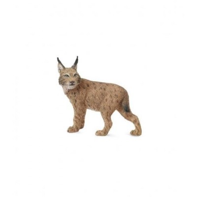 LINCE -L- 88565 COLLECTA