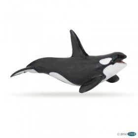 ORCA PAPO56000